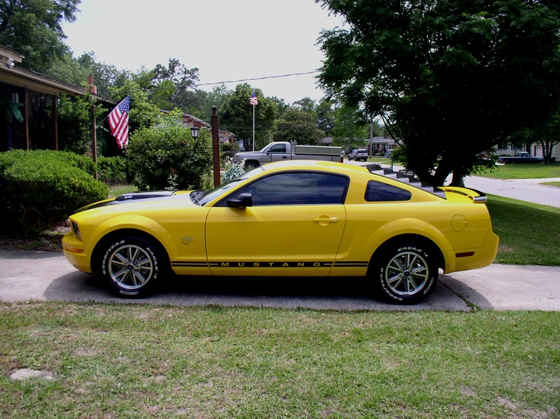 P5160083-800.webp