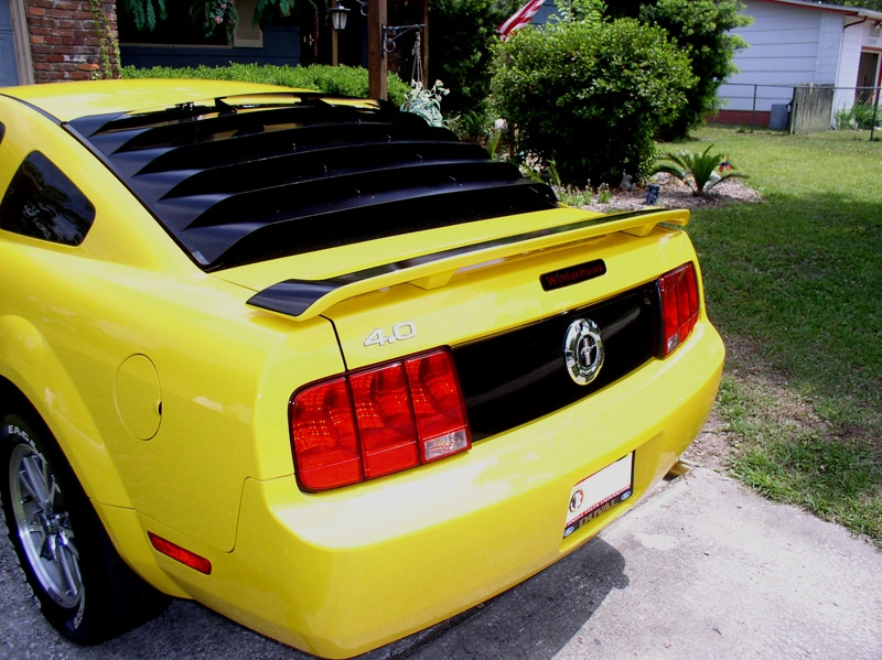 P5160088-800.webp