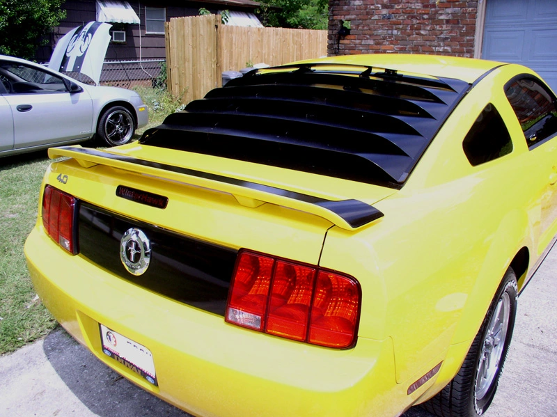 P5160091-800.webp