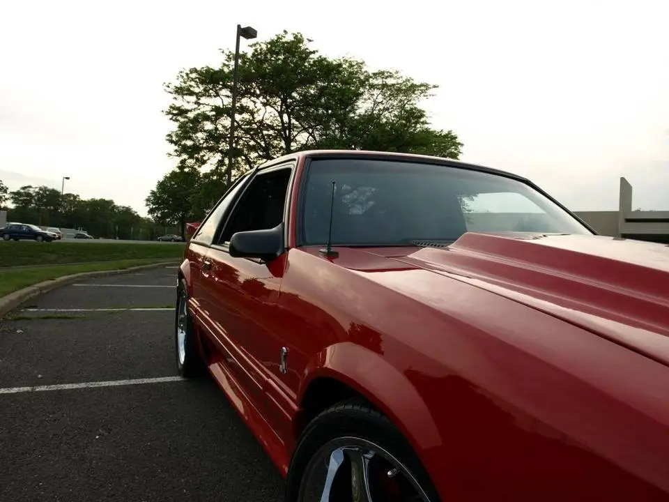 P5205462.webp