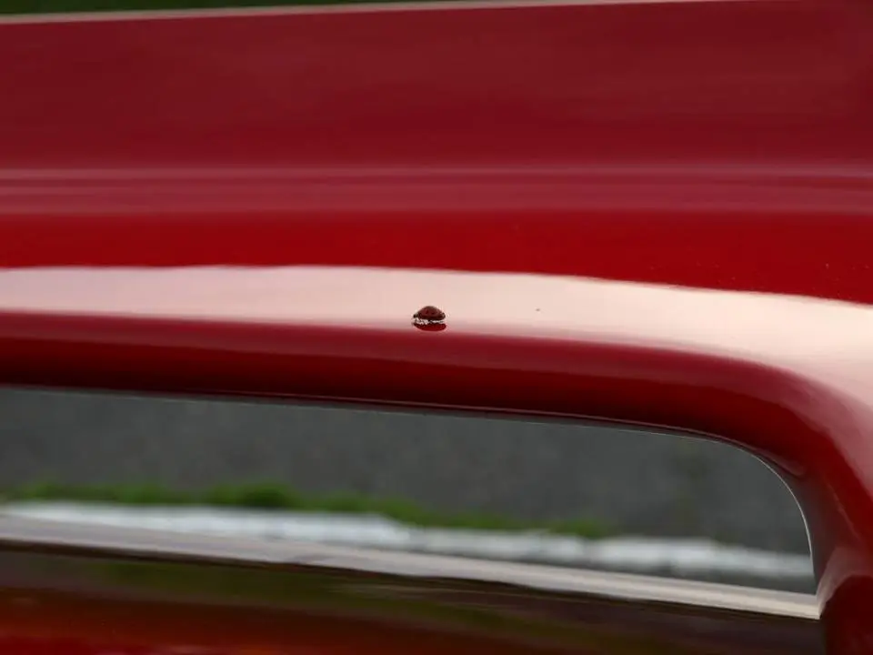 P5205488.webp