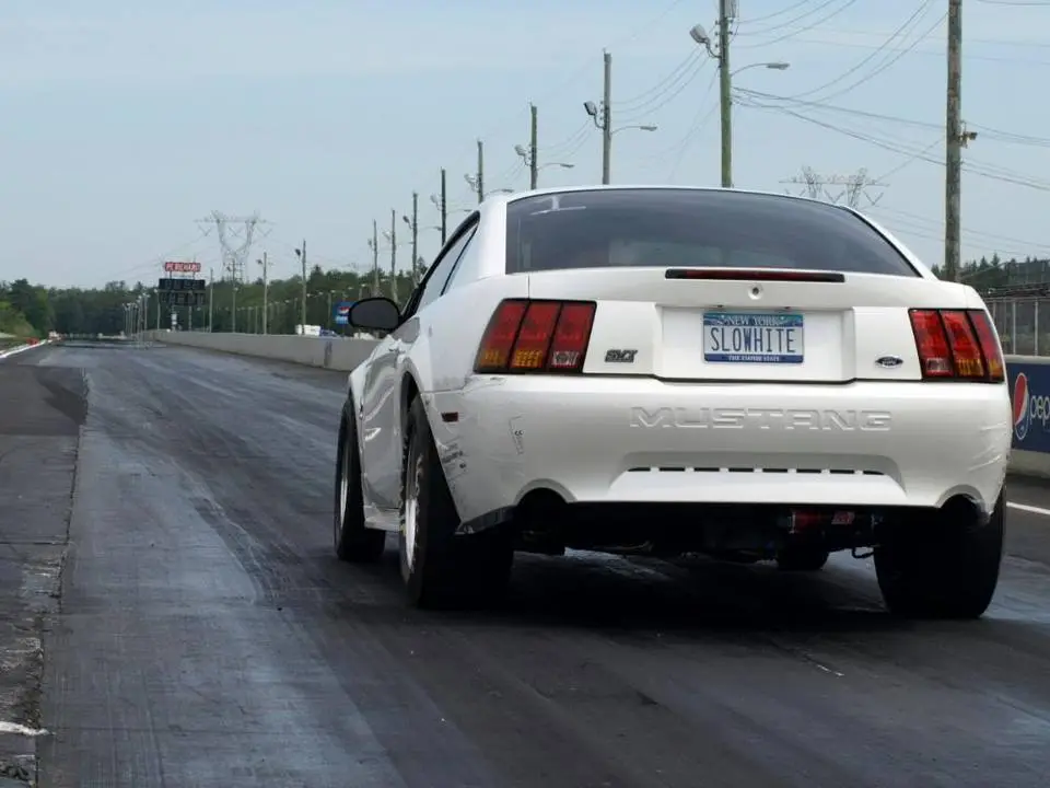 P5217472.webp