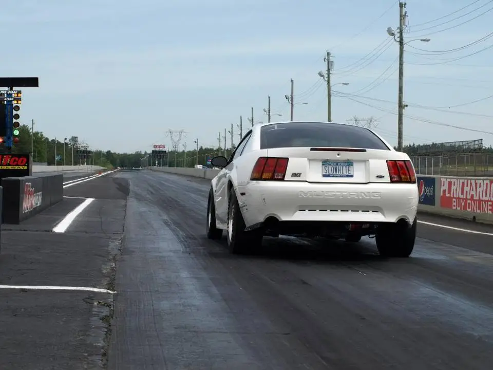 P5217474.webp