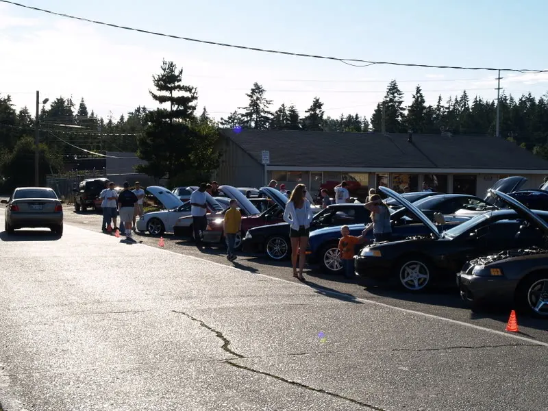 P6303254.webp