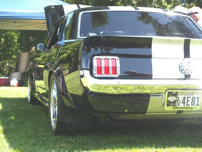 P7251465.webp