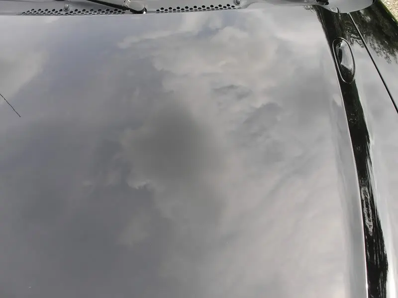 P7300215.webp