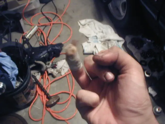 P7310020.webp