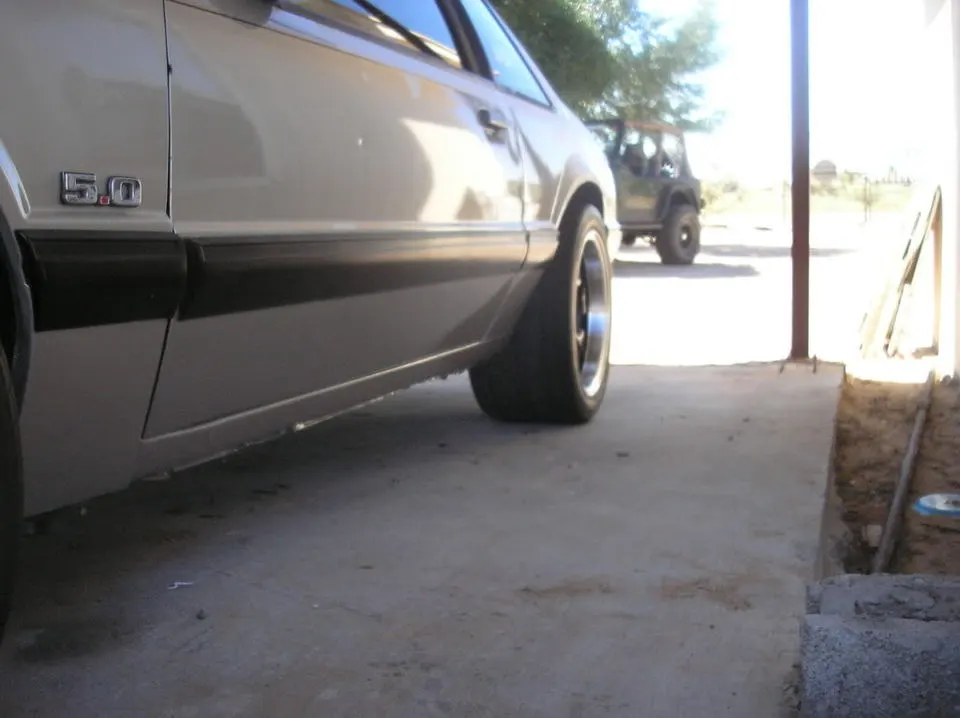 P8012899.webp
