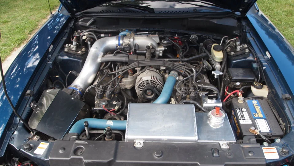 P8141491.webp
