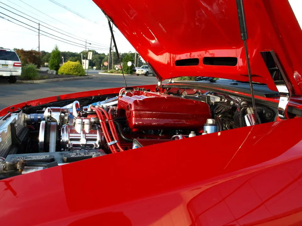 P8230582.webp