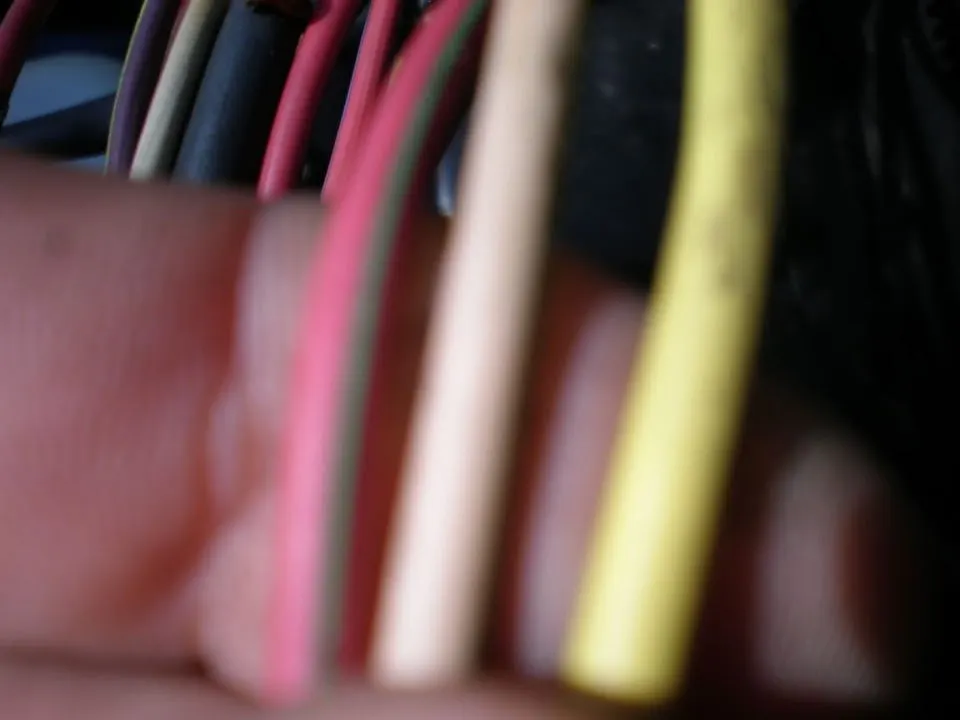 P8240418.webp