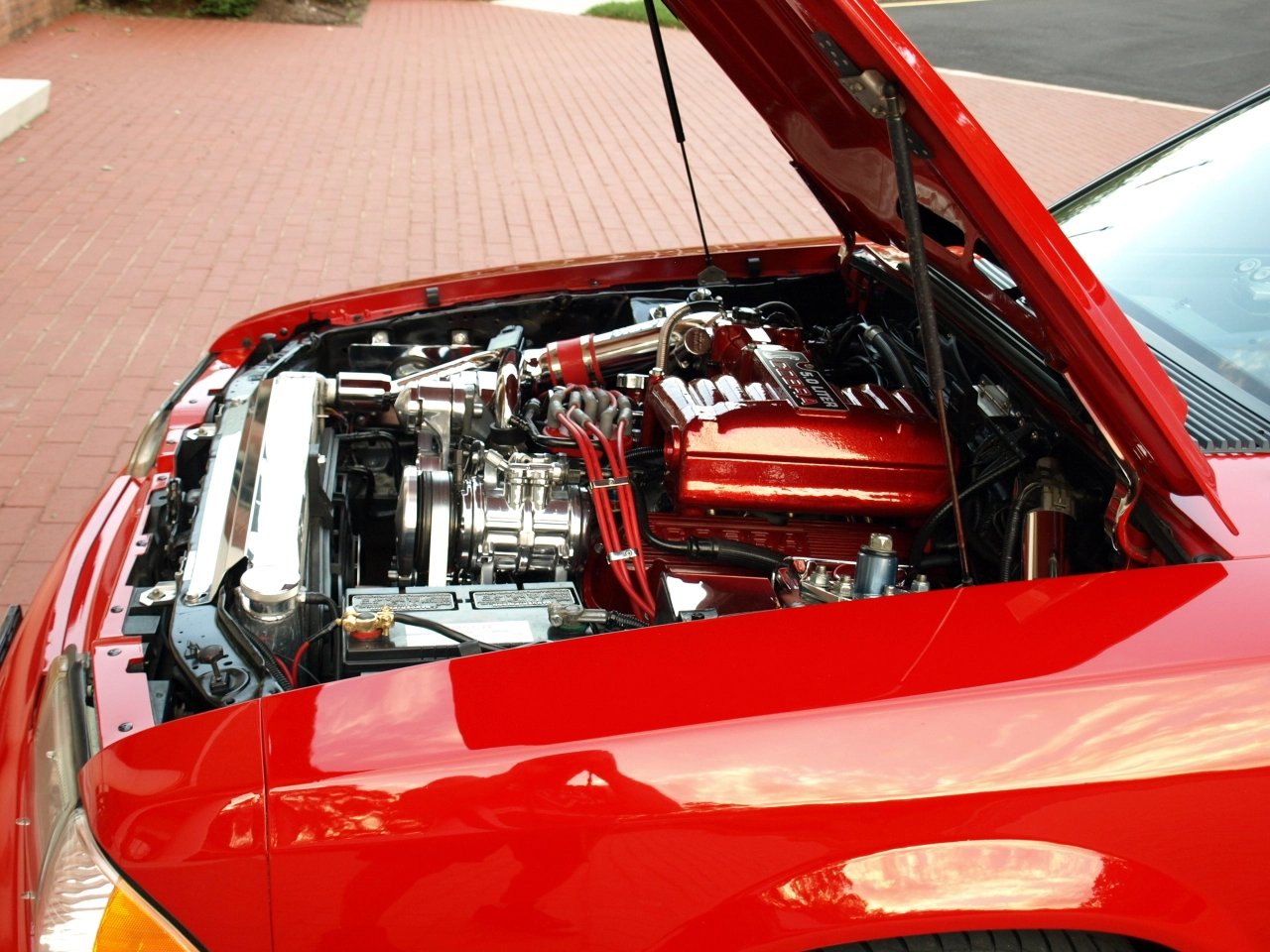 P8294305.webp