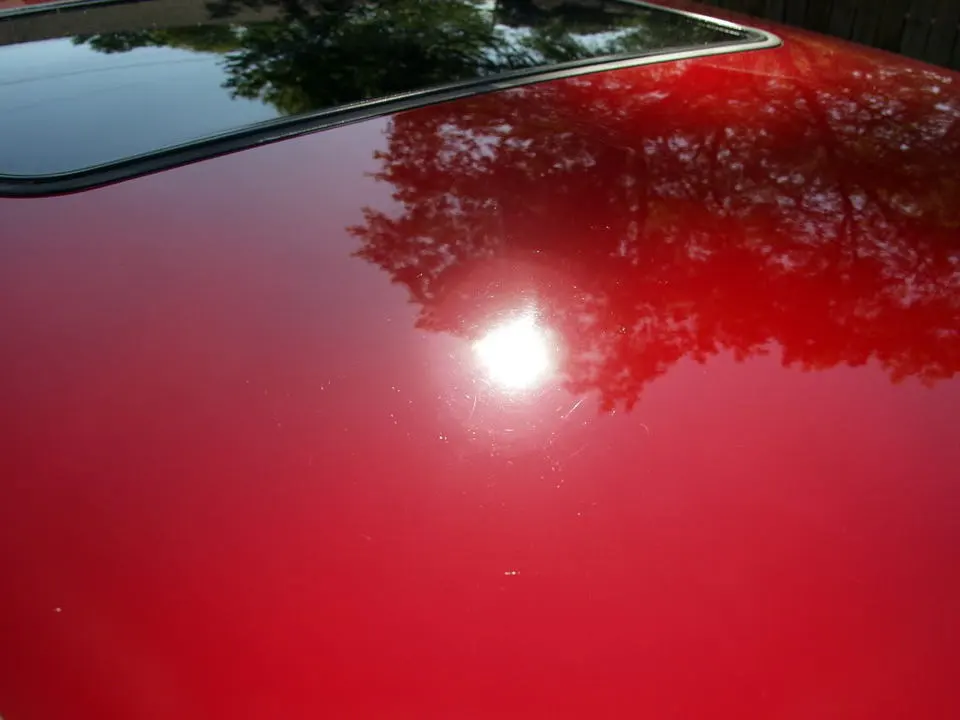 P9306208.webp