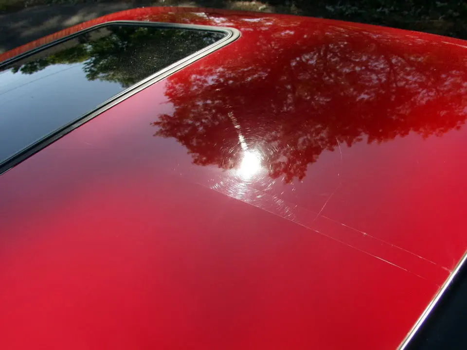P9306209.webp