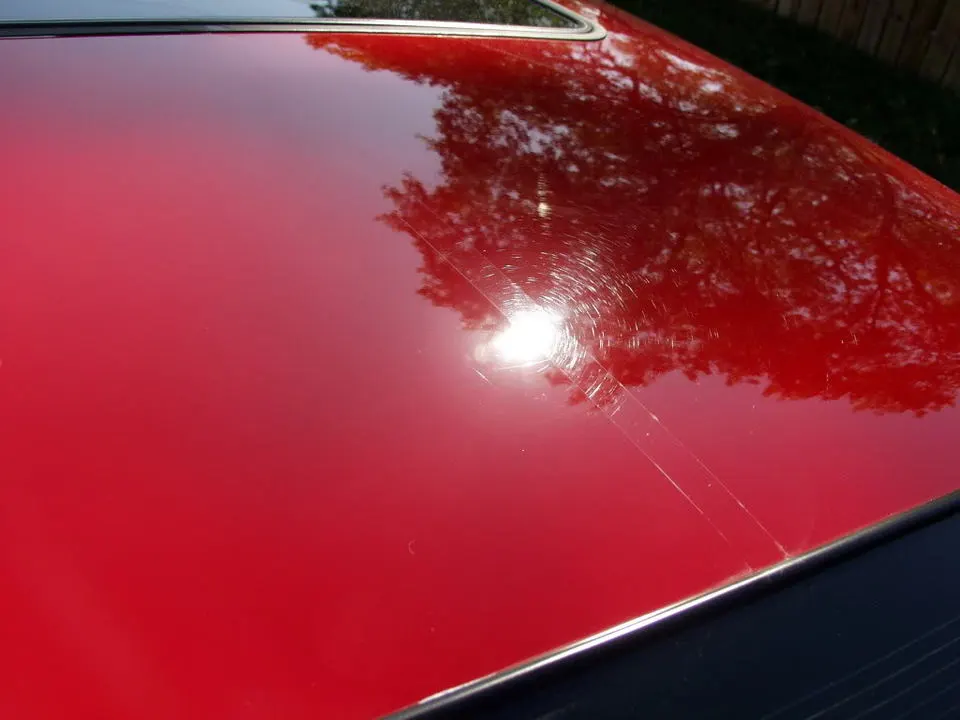 P9306211.webp
