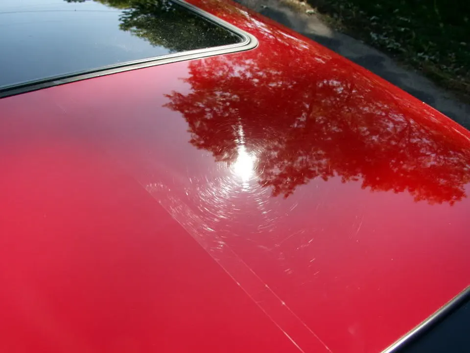 P9306212.webp
