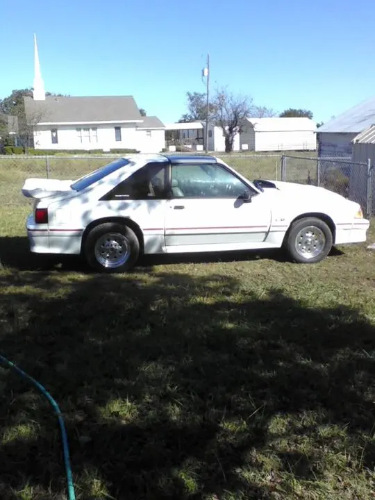 p_00015.webp