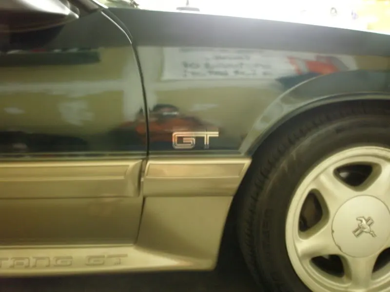 PA010283.webp