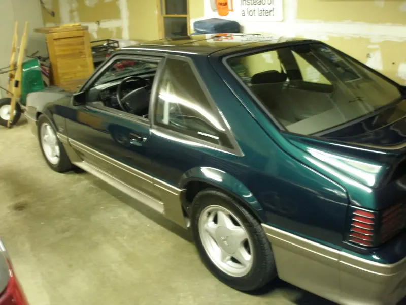 PA010284.webp