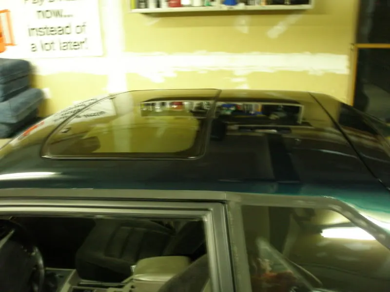 PA010286.webp