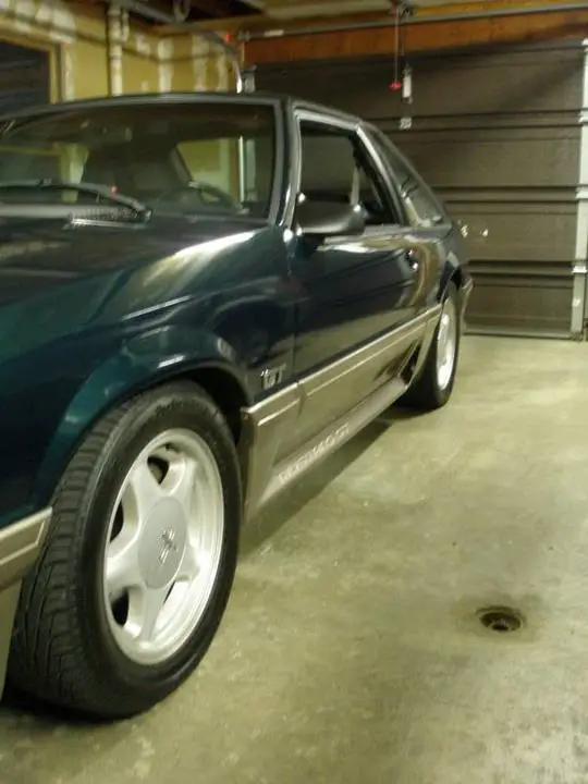 PA010290.webp