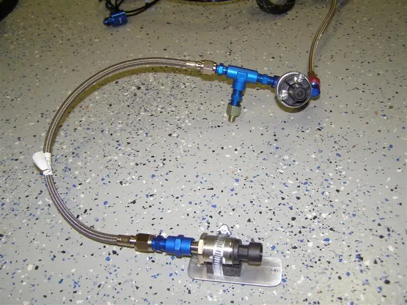 PA020008Medium.webp