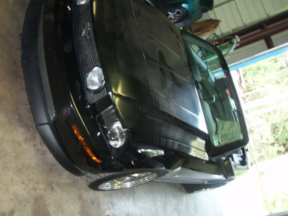 PA020231.webp