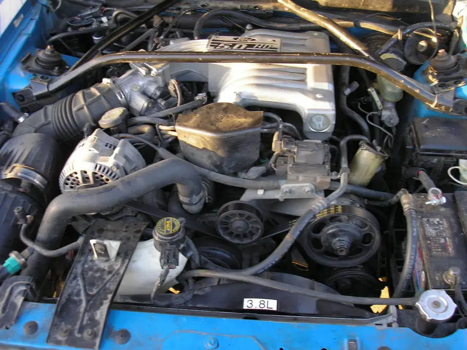 PA070012.webp