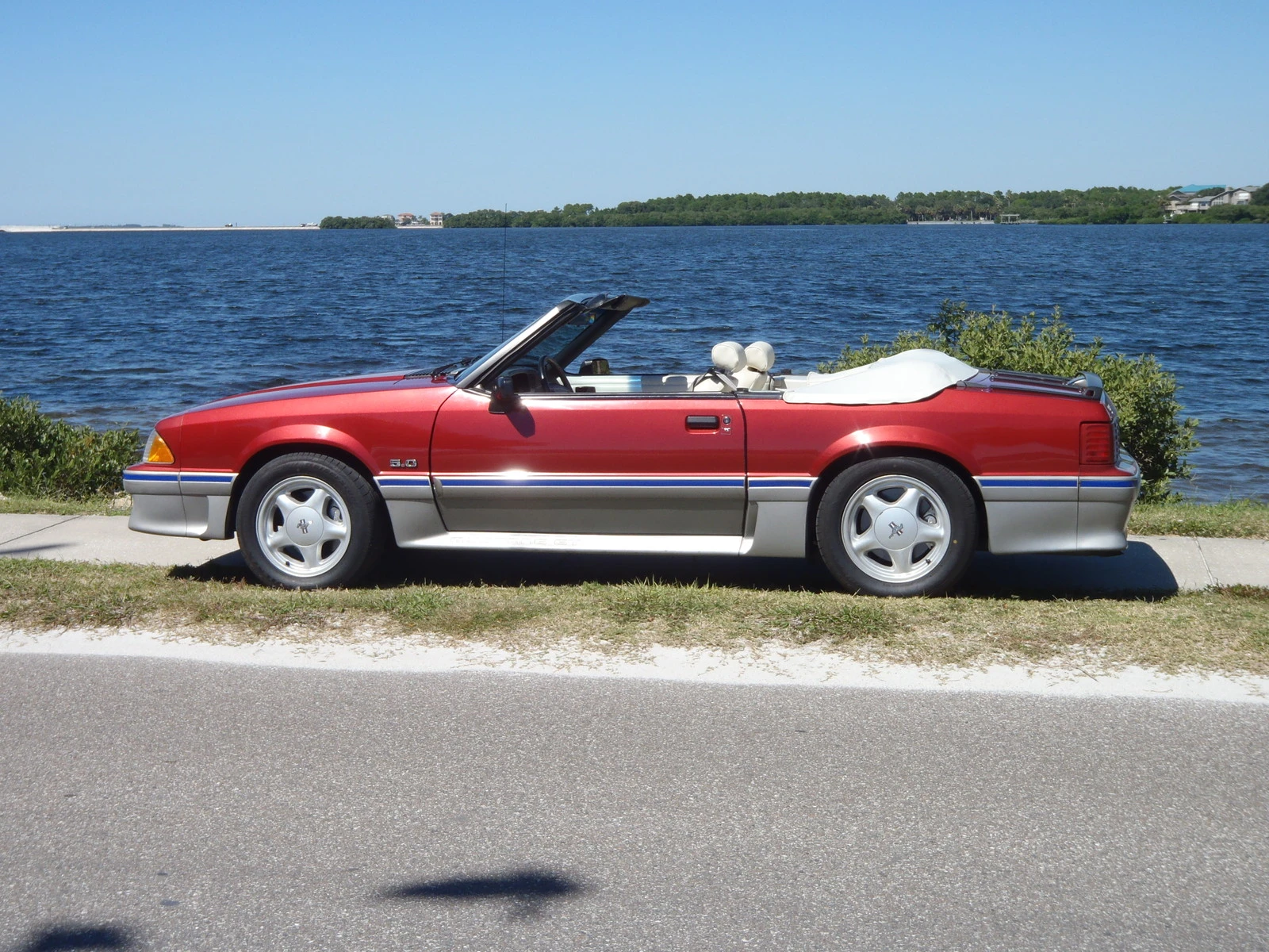 PA070026.webp