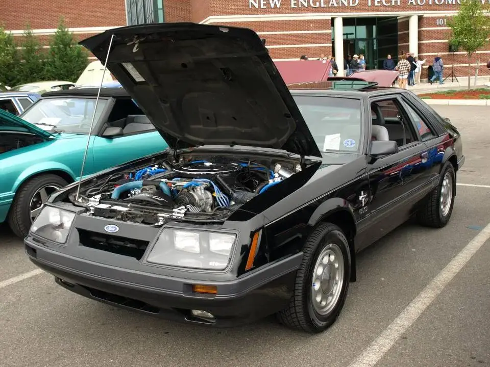 PA070800.webp