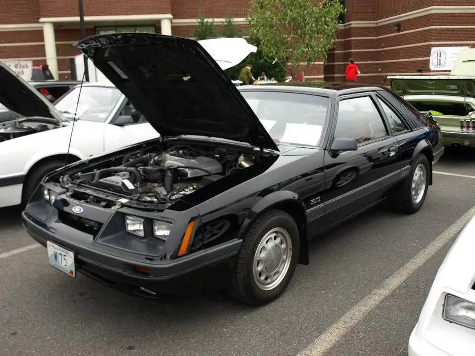 PA070817.webp