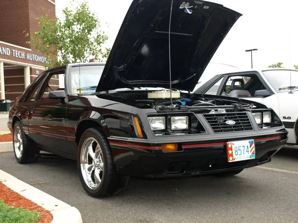 PA070867.webp
