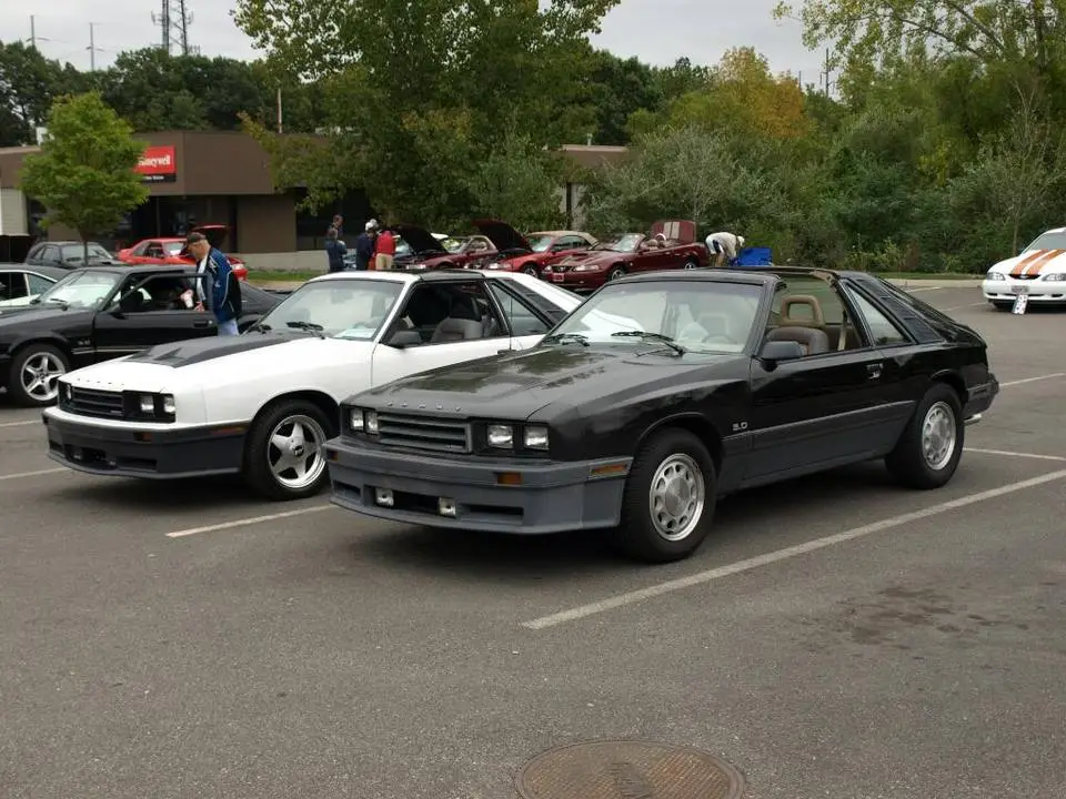 PA071029.webp