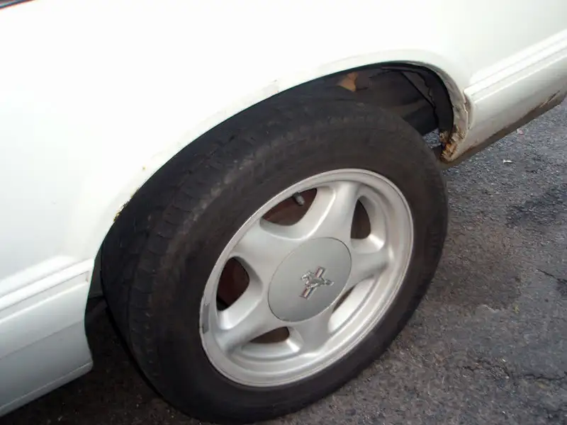 PA090036f.webp