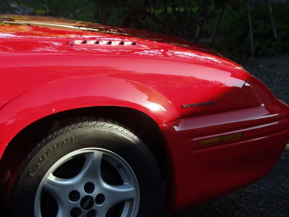 PA096225.webp