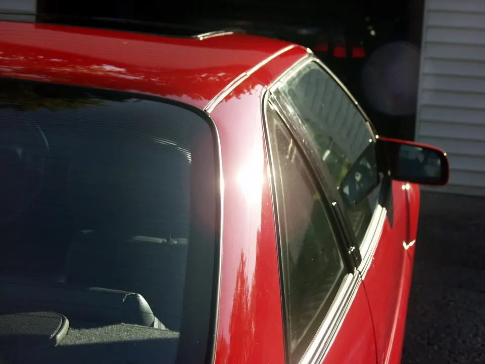 PA096227.webp