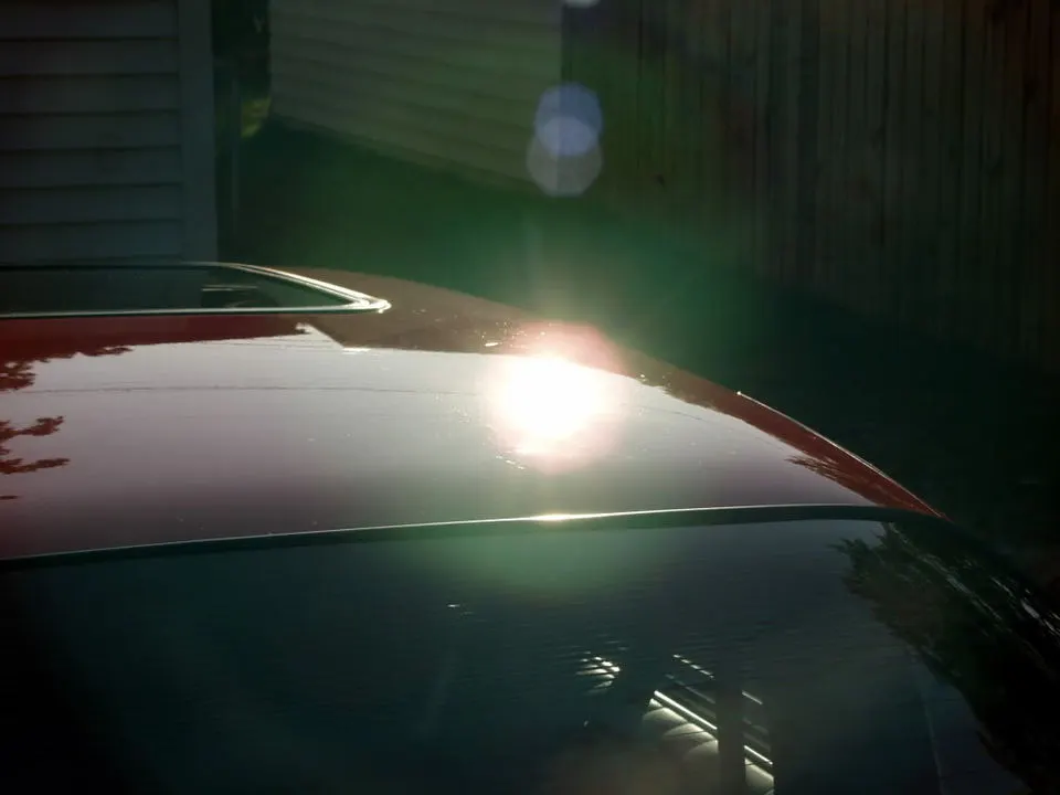 PA096228.webp