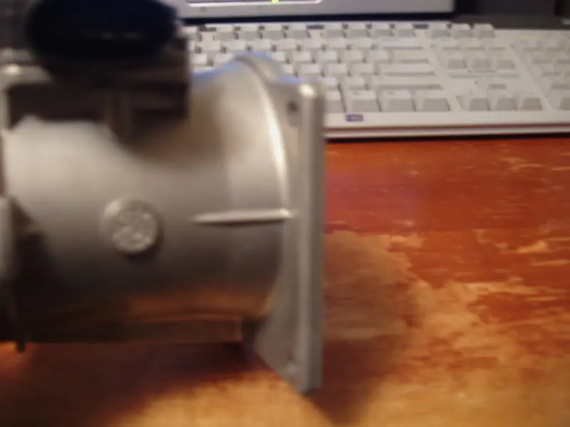 PA170035.webp