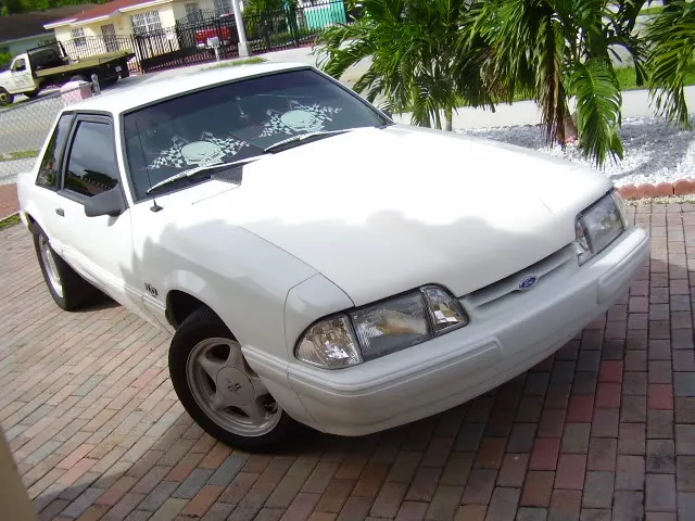 PA200073.webp