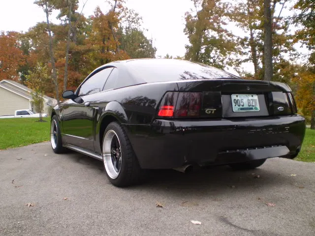 PA210039.webp