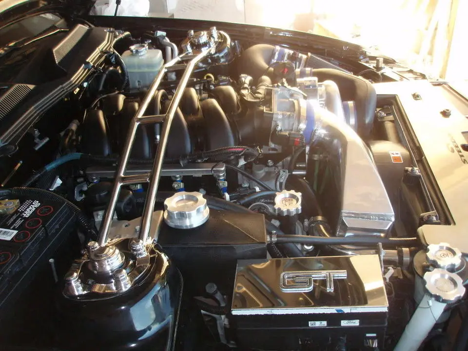 PA250335.webp