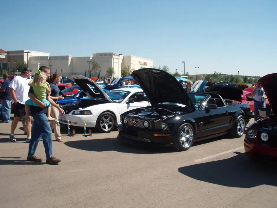 PA280373.webp