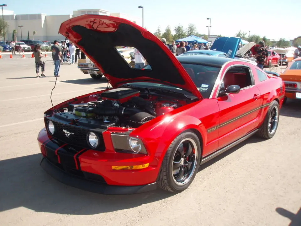 PA280380.webp