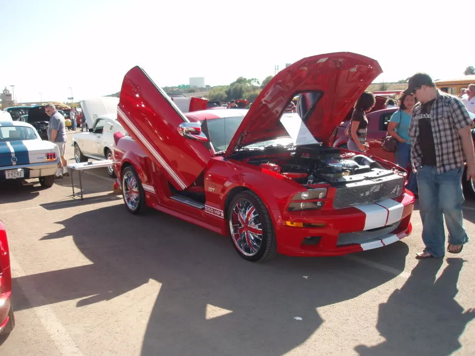 PA280384.webp