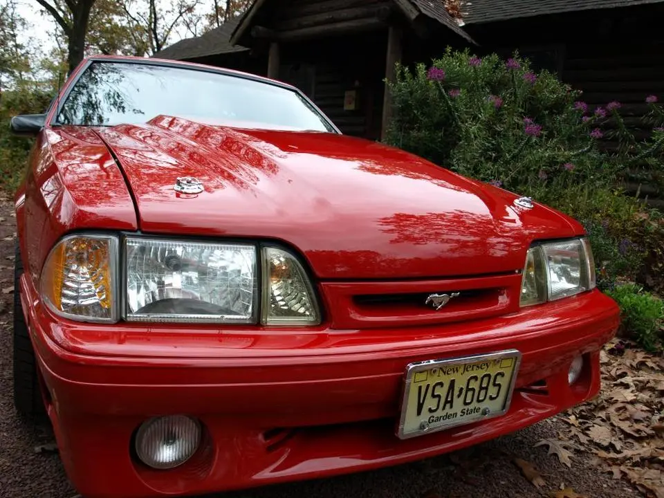 PA284990.webp