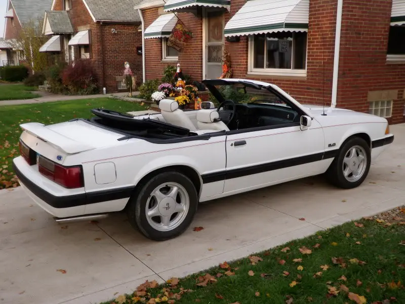 PA306668.webp