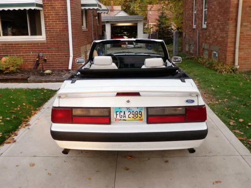 PA306669.webp