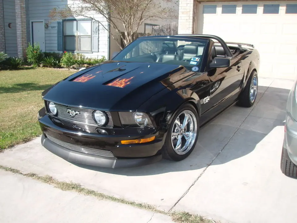 PA310048.webp
