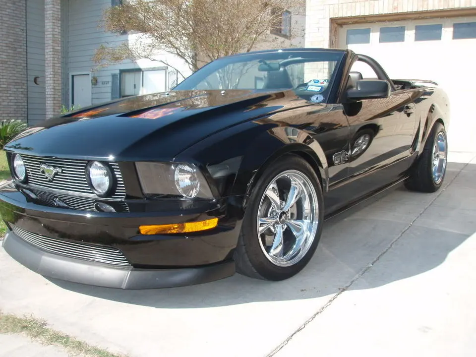 PA310049.webp