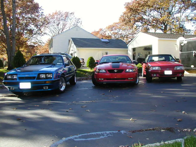 PA310123.webp